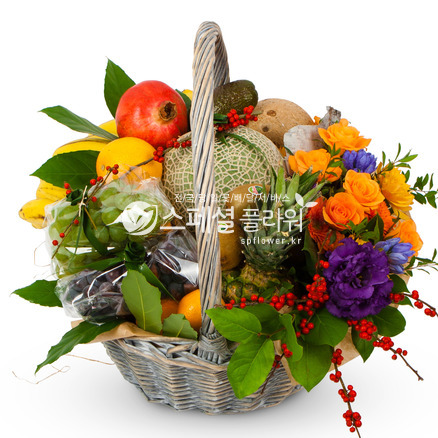 과일바구니2