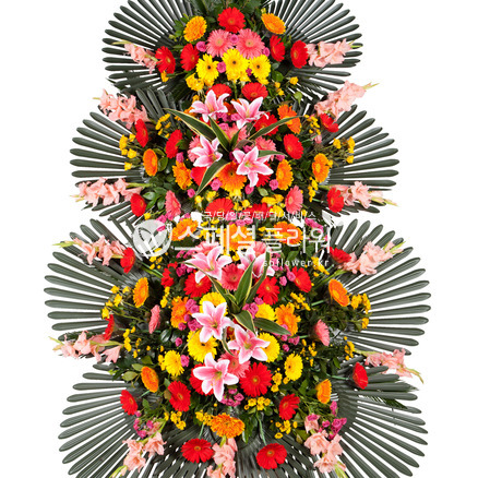 정품축하3단(착한가격2,즉시할인)