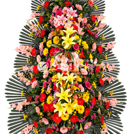 정품3단(착한가격8,즉시할인)