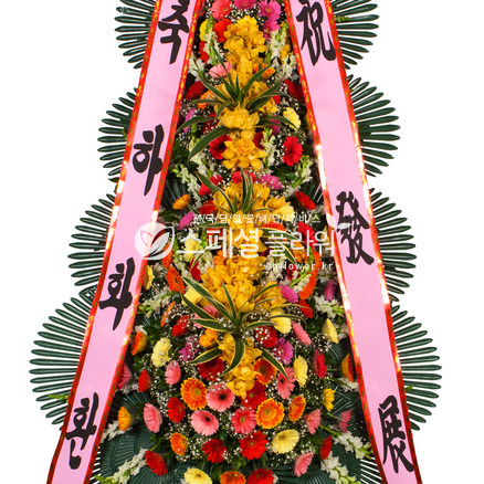 축하4단화환-즉시할인
