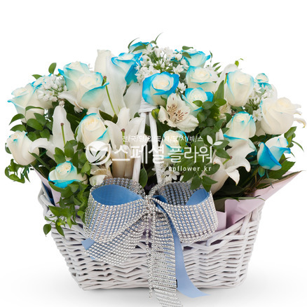 파랑이 15