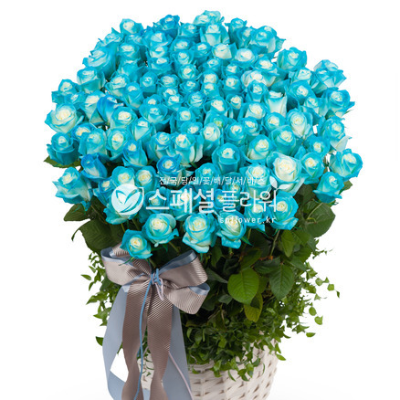 파랑이17