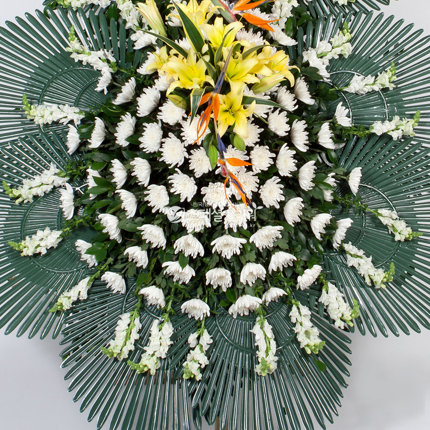상세이미지