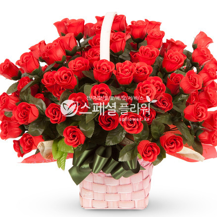 비누꽃5