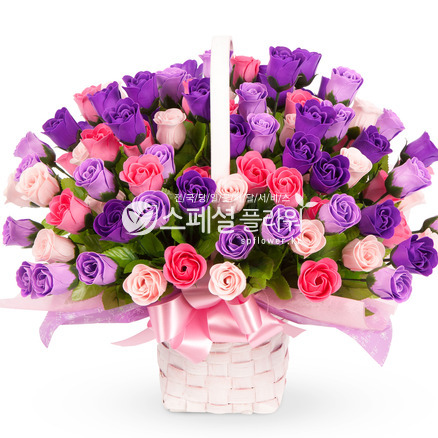 비누꽃 9
