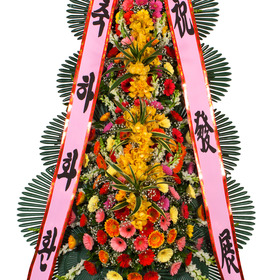 축하4단화환-즉시할인